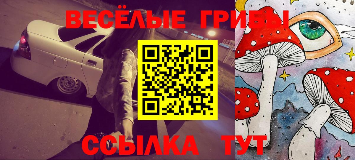 Псилоцибиновые грибы мицелий Советск