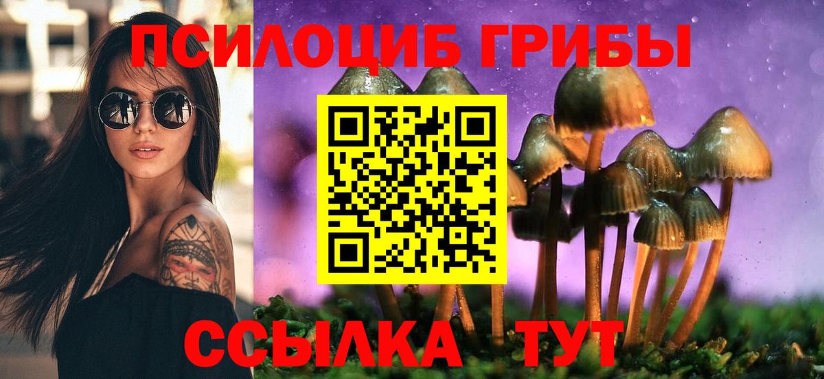 Галлюциногенные грибы Cubensis  Вход с VPN  Советск 
